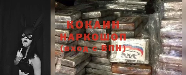 твердый Абаза