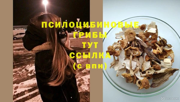 хмурый Абдулино