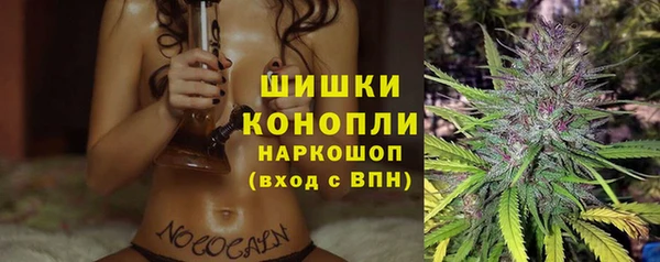 твердый Абаза