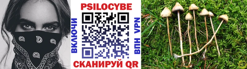 Псилоцибиновые грибы Psilocybe  купить наркотики цена  kraken рабочий сайт  Усть-Катав 